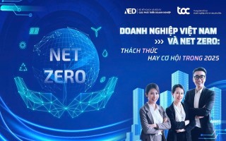 Doanh nghiệp và bài toán khí thải: Làm sao để tối ưu hóa chi phí và bảo vệ môi trường 2025?